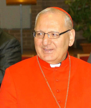 البطريرك لويس روفائيل ساكو يقدم استقالته